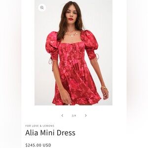 For Love And Lemons Scarlet Floral Mini Dress
